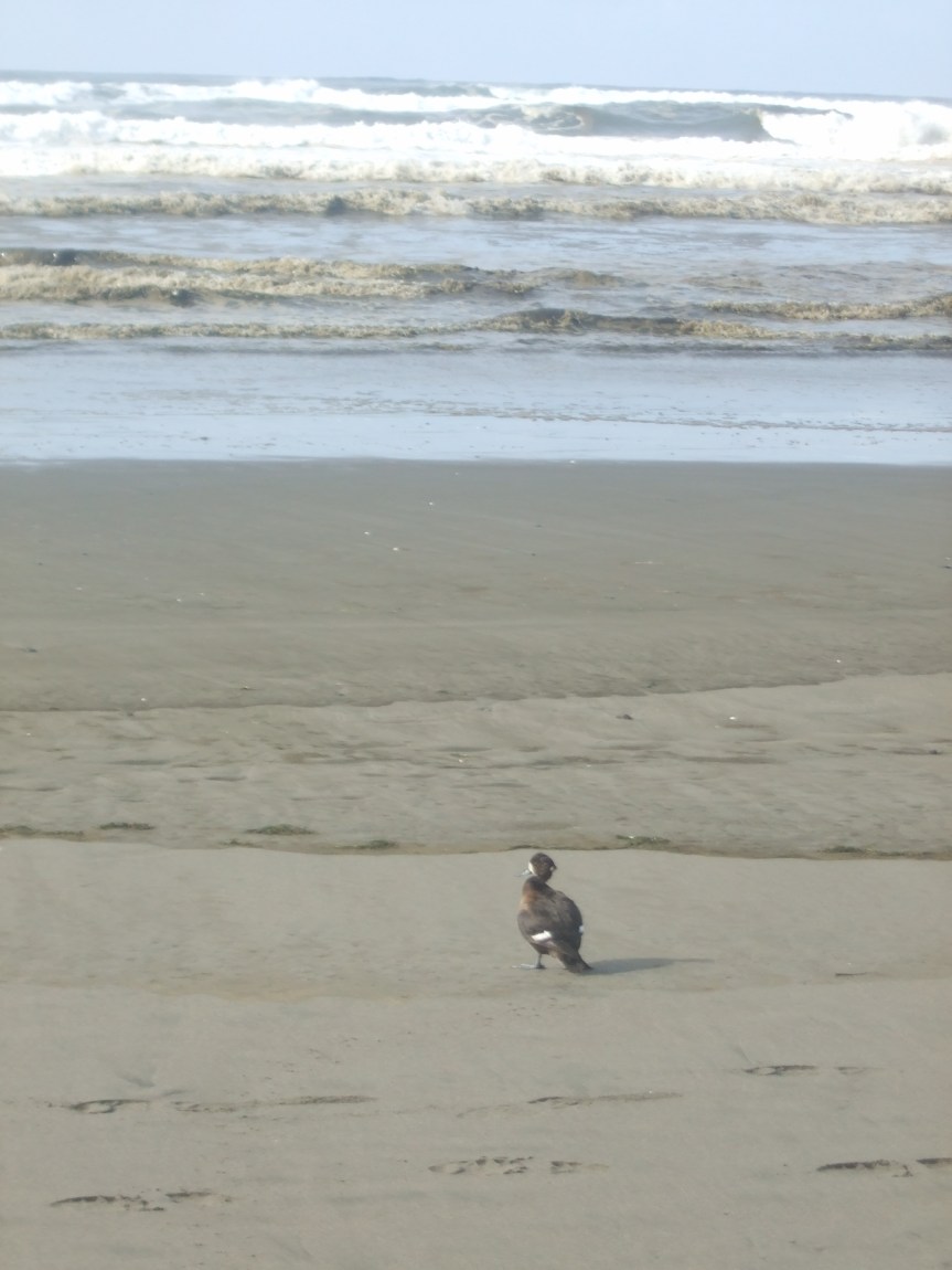 Terminally Ill Romances Make Me Sick (Part&nbsp;I)