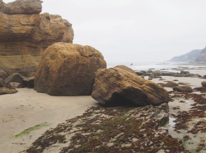 Like these rocks...but with more crabs.